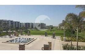 7 images (27)oiutreewqq. jpg