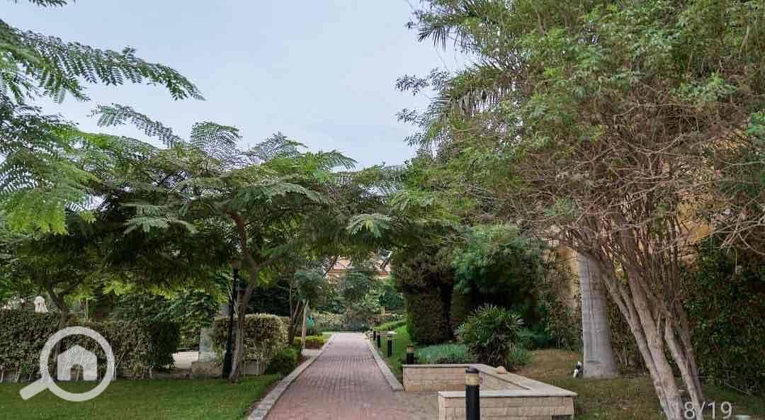 11 4d7106c3-807c-4f0a-9edc-01775463d4b8. jpg