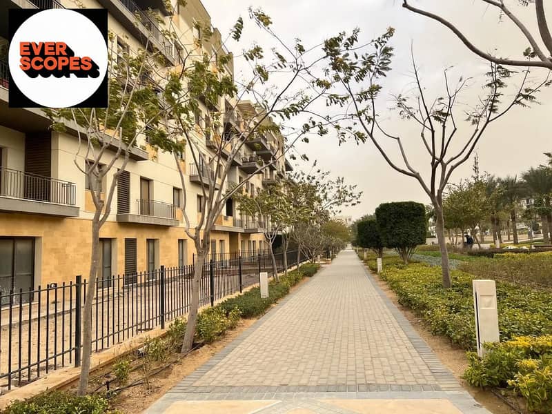 8 596940751_122137519706986996_7280784100949930173_n. jpg