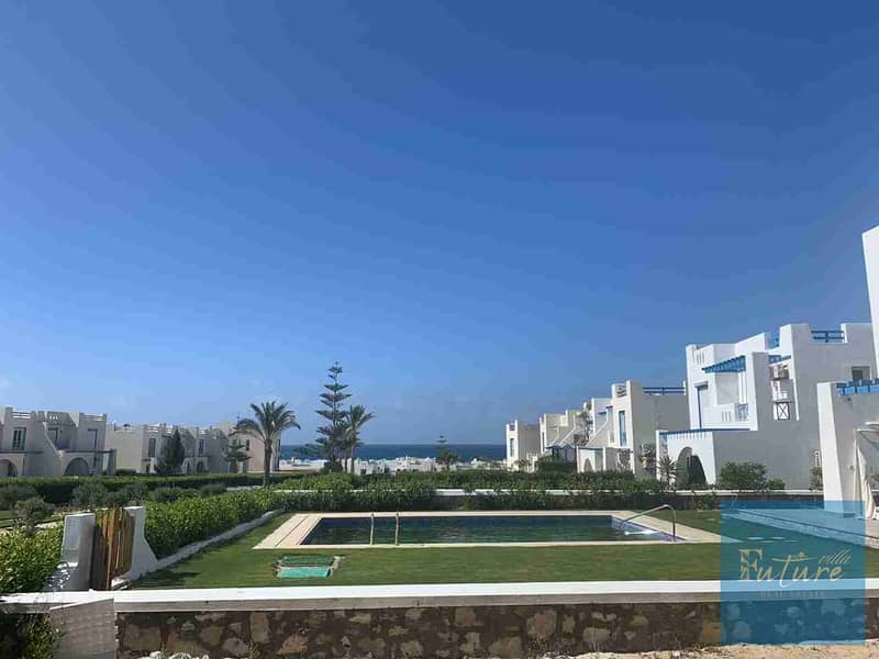 1001254369. jpg 1001254369. jpg