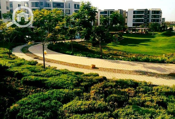 4 WhatsApp Image 2025-09-20 at 3.49. 58 PM (1). jpeg