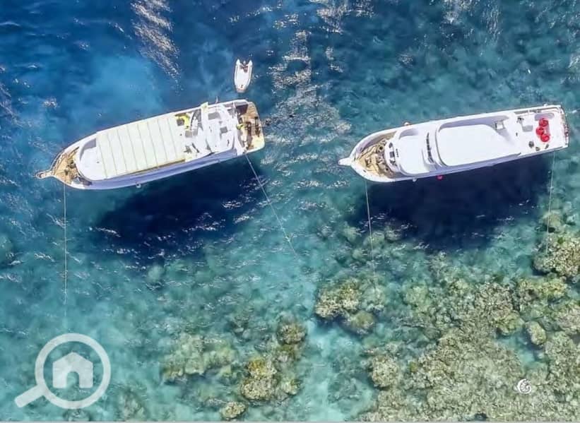 6 Screenshot_27-2-2024_145048_. jpeg