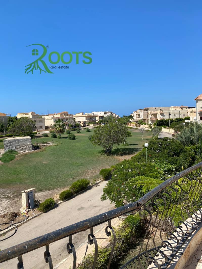 4 WhatsApp Image 2025-09-11 at 4.41. 29 PM. jpeg