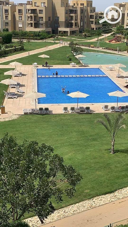 8 592398862_10163481324367943_8391000967041994968_n. jpg