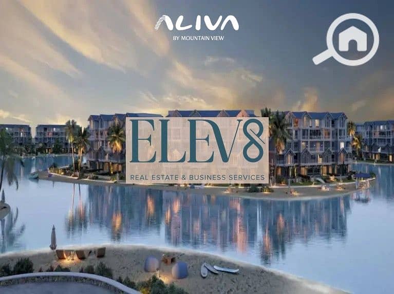 PHOTO-2025-12-18-13-50-05 3. jpeg PHOTO-2025-12-18-13-50-05 3. jpeg