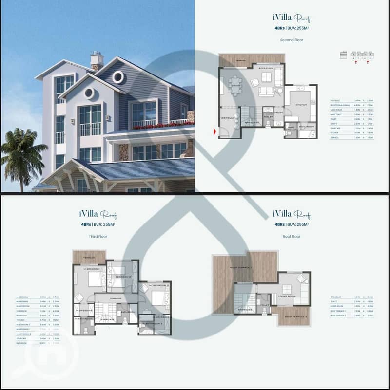 3 PHOTO-2025-12-18-13-50-05. jpeg