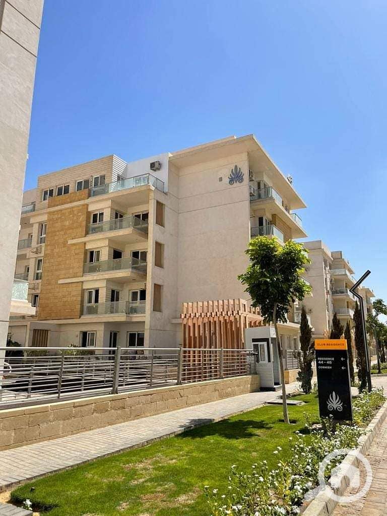 7 FB_IMG_1691824639688. jpg