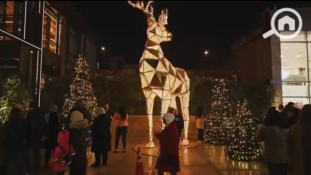 3 WhatsApp Image 2022-11-03 at 8.48. 18 PM (2). jpeg