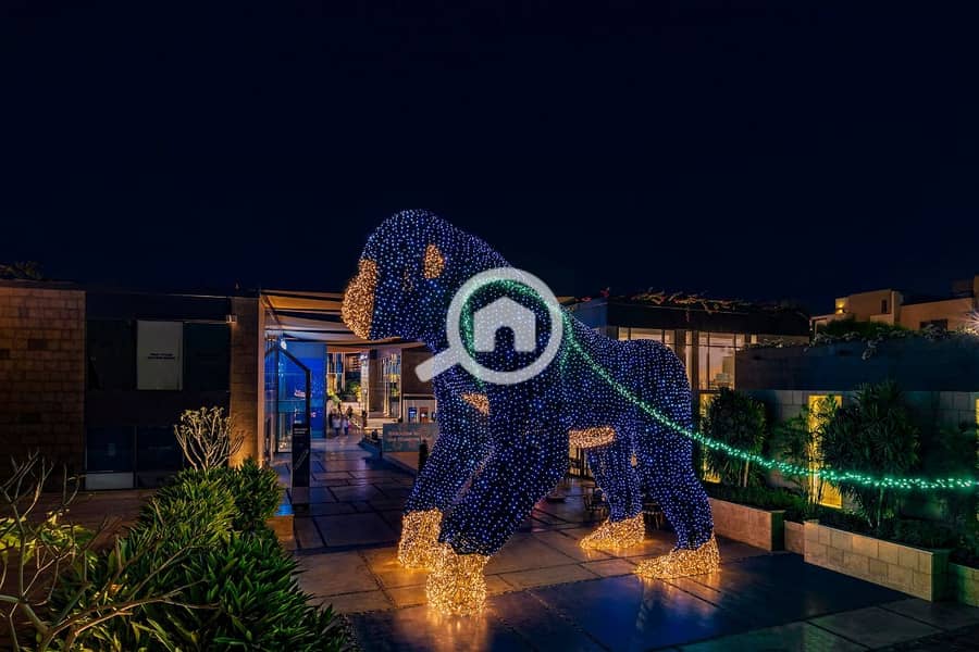 5 WhatsApp Image 2022-11-03 at 8.43. 53 PM. jpeg