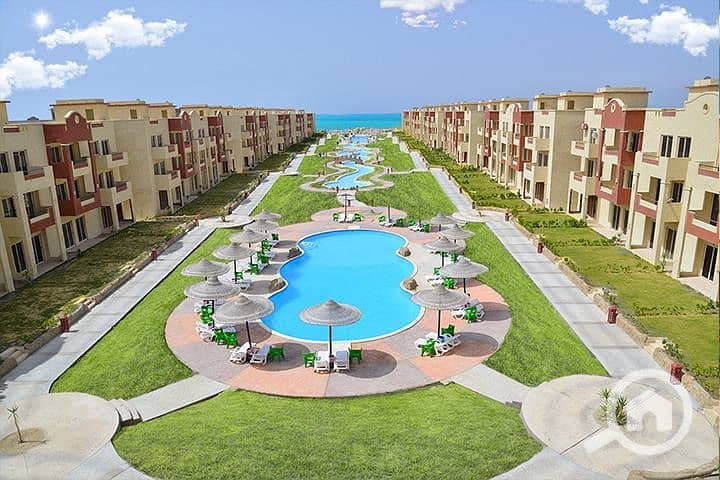 5 584475257_4238552346289866_5384703770402197476_n. jpg