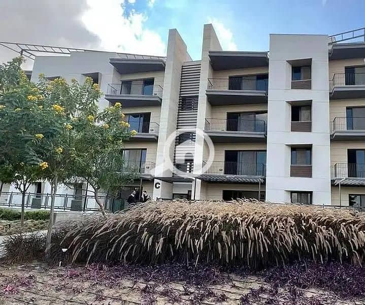 9 8e8f8531-da03-4168-8c06-1483d1329e4a. jpg