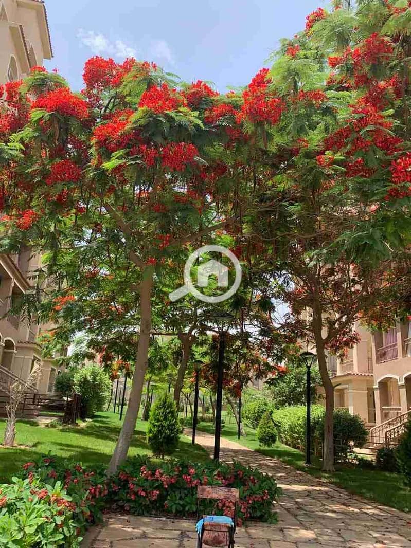 8 IMG-20201125-WA0005. jpg