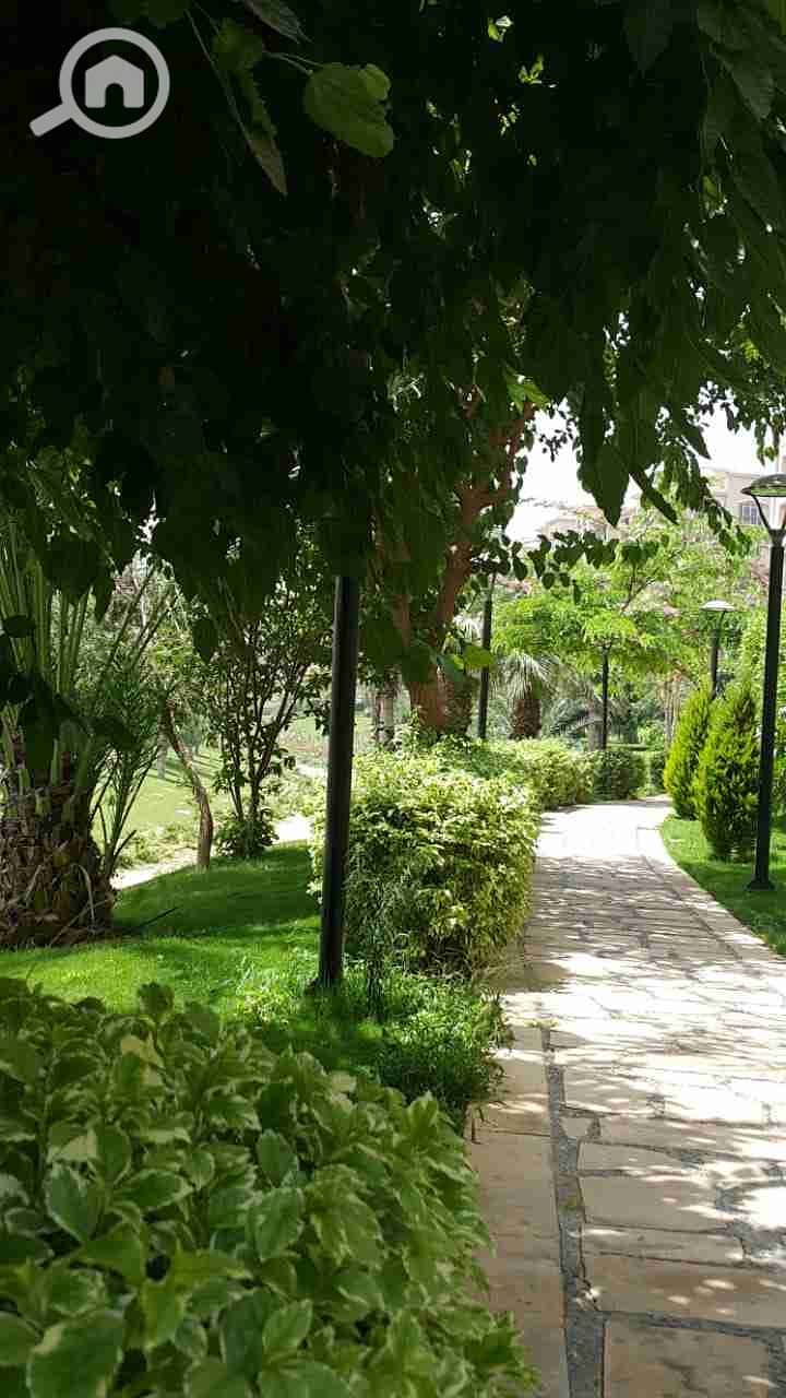 10 IMG-20201125-WA0006. jpg