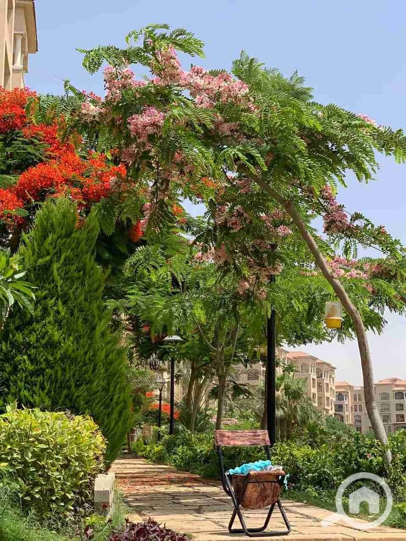 12 IMG-20201125-WA0007. jpg