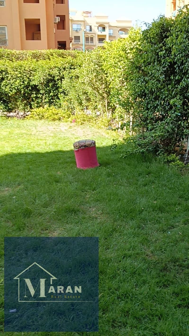 14 صورة واتساب بتاريخ 2025-12-18 في 14.21. 51_1d8c296a. jpg