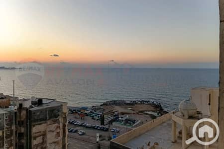 فلیٹ 3 غرف نوم للايجار في كليوباترا، الإسكندرية - 1. jpg