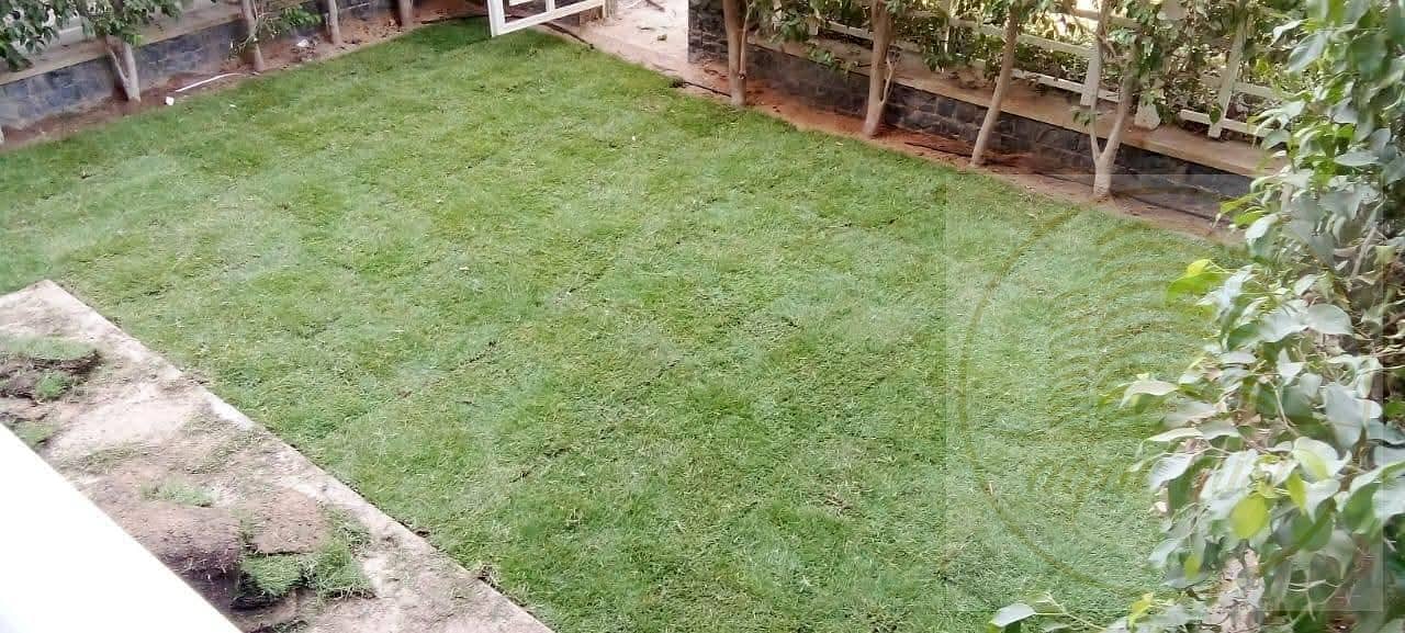 2 WhatsApp Image 2025-12-17 at 12.19. 54 PM (1). jpeg