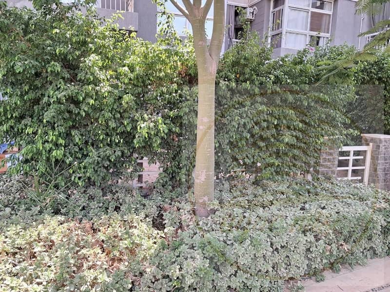 10 WhatsApp Image 2025-12-17 at 12.19. 54 PM. jpeg