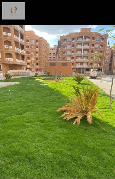 فلیٹ 3 غرف نوم للبيع في القاهرة الجديدة، القاهرة - WhatsApp Image 2025-12-17 at 7.16. 00 PM. jpeg