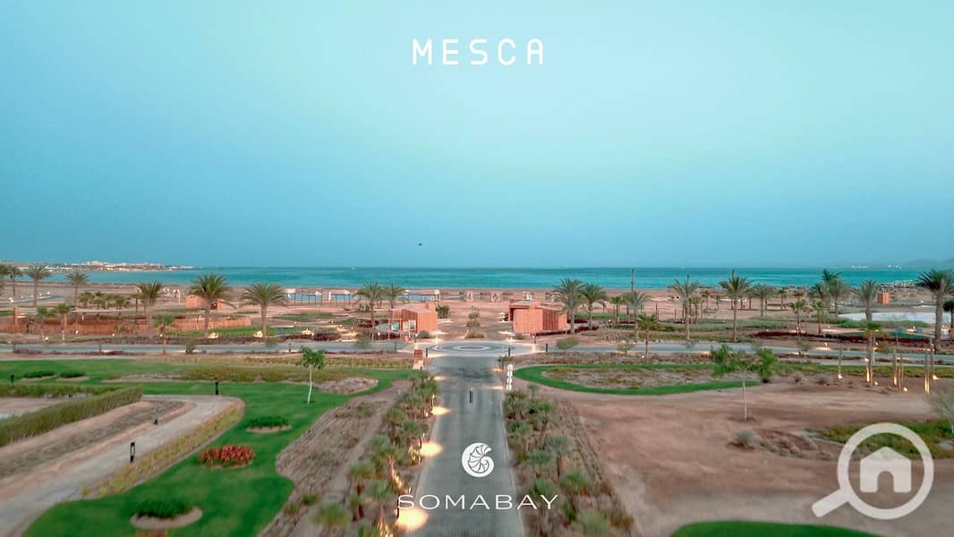 29 WhatsApp Image 2025-09-29 at 3.33. 09 PM. jpeg