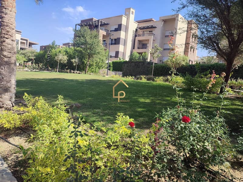 9 601379632_859411890014659_2062899456273085521_n. jpg