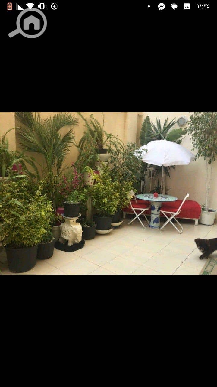 4 WhatsApp Image 2025-12-18 at 1.35. 54 PM (4). jpeg