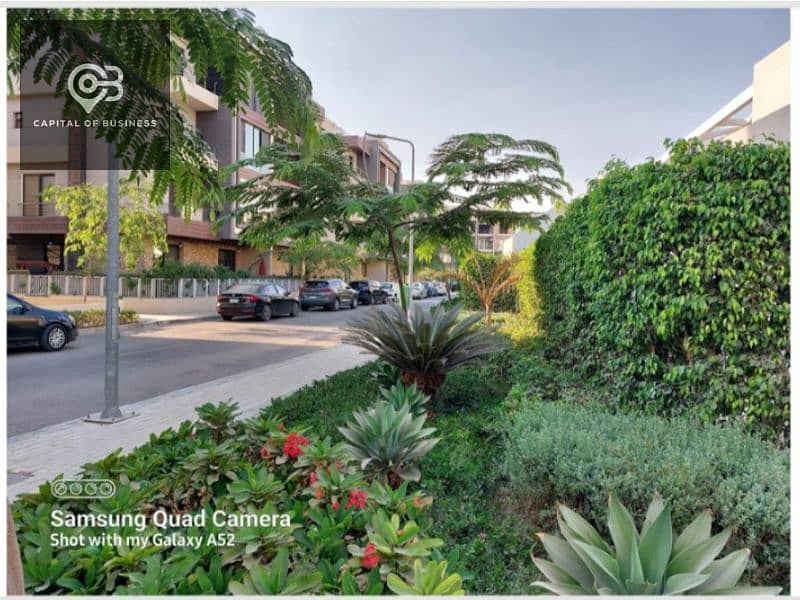 11 e575fa4f-eb88-4533-8f83-8c0a14876edf. jpg