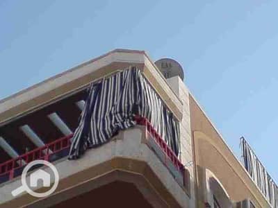 فلیٹ 3 غرف نوم للبيع في النخيل، الإسكندرية - IMG-20210820-WA0014. jpg