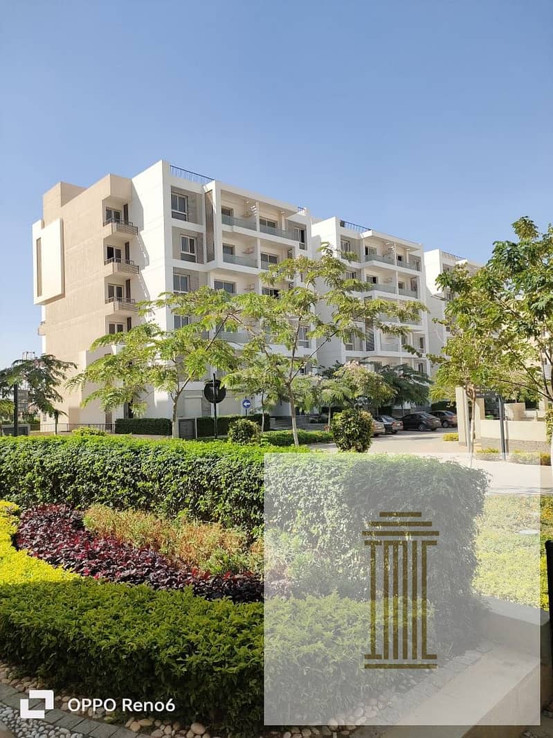 7 WhatsApp Image 2025-12-03 at 7.09. 50 PM. jpeg