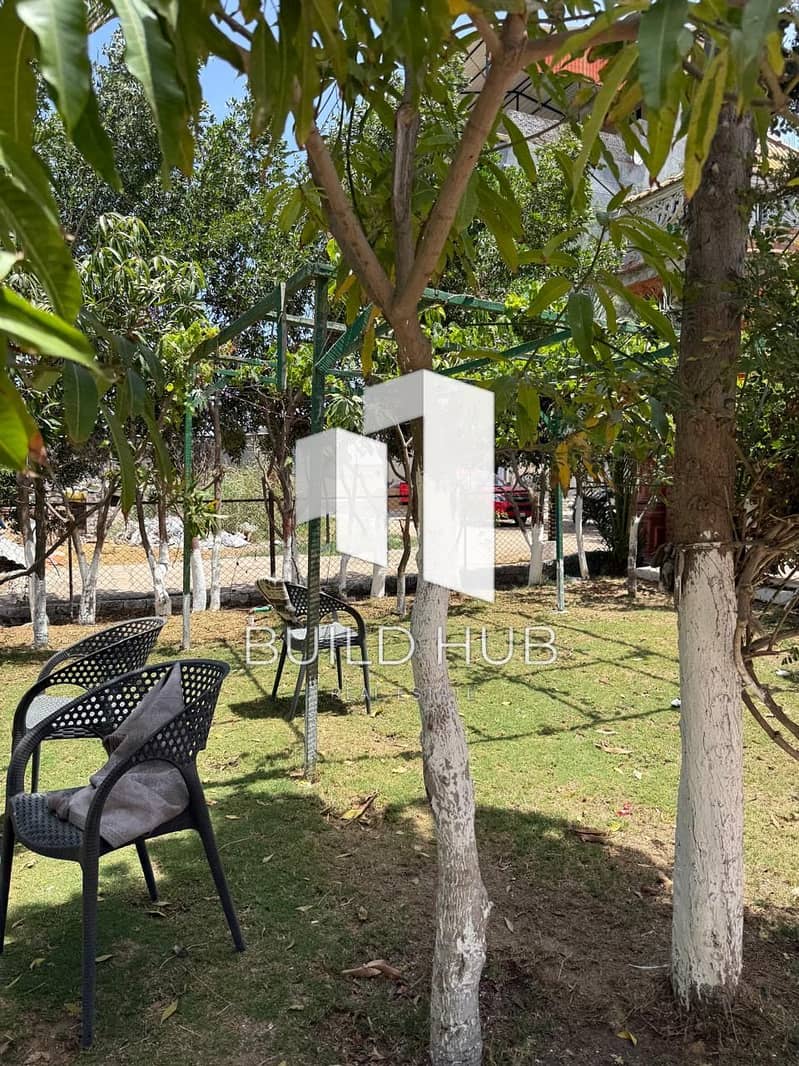 4 3b42eb03-d951-4dca-b666-914a34a4fdc5. jpeg