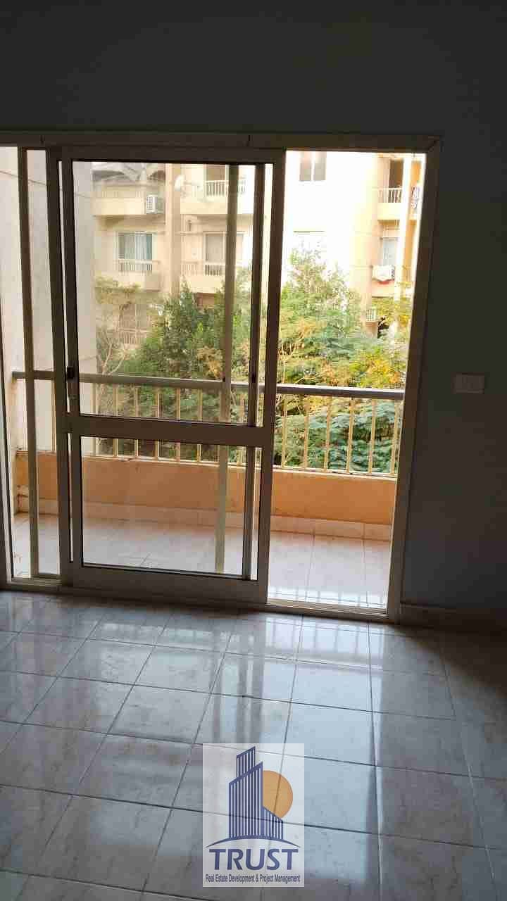 1000257206. jpg 1000257206. jpg