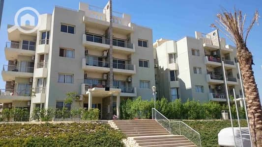 3 Bedroom Flat for Sale in Sheikh Zayed, Giza - WhatsApp Image 2025-12-03 at 12.21. 57 PM (2). jpeg