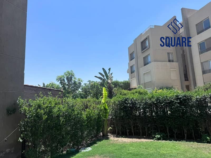 4 f6d65dae-630c-4959-84a6-0e281935dcf4 - mohamed ashraf. jpg