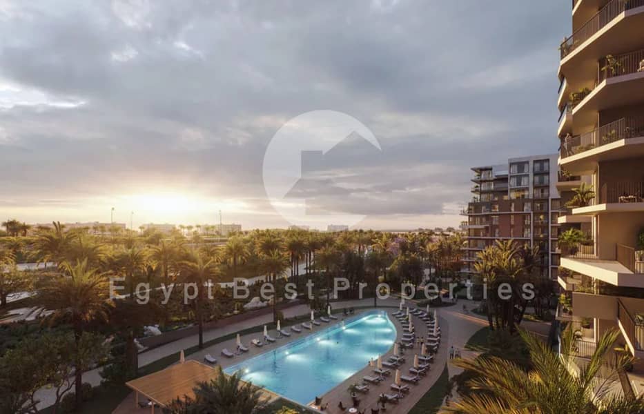 11 high (9) (Custom). png