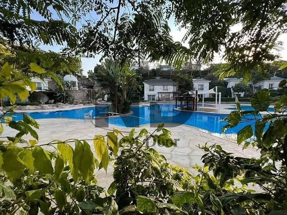 12 559960818_2222111948284653_4455004966919011999_n. jpg