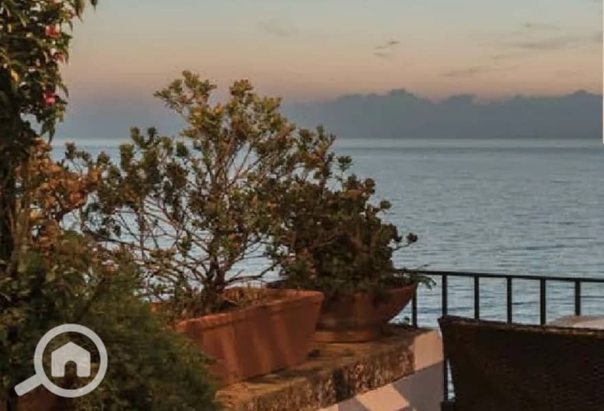 7 a894da20-3275-4158-9568-609e4c07b63b. jpg