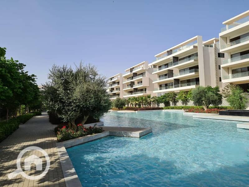 4 264445604_1349537975496562_6748255534838355015_n. jpg