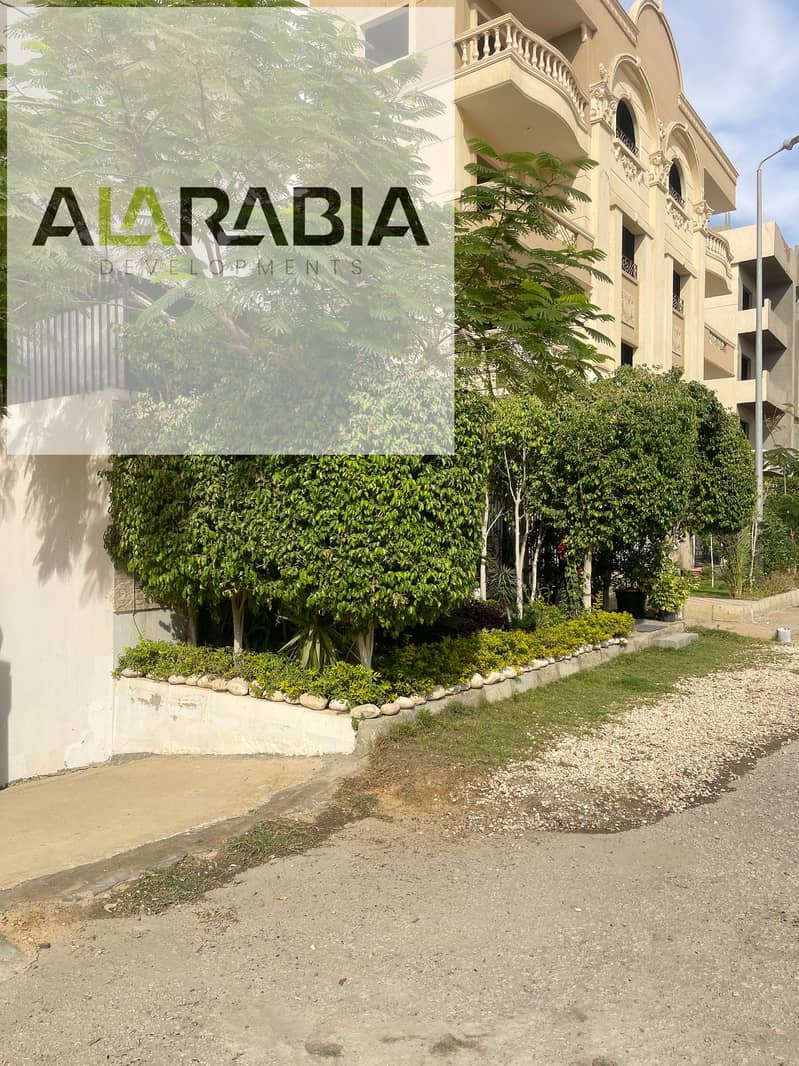 10 2025_11_12_13_14_IMG_5432. JPG