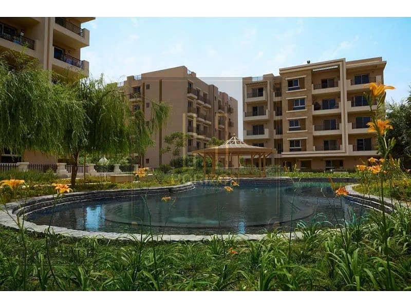 3 157992500-800x600. jpg