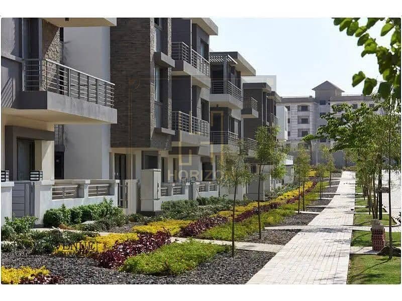 6 157992503-800x600. jpg