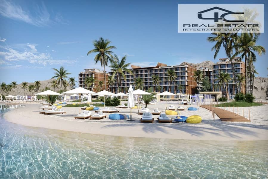 3 WhatsApp Image 2025-12-17 at 2.26. 14 PM (3). jpeg