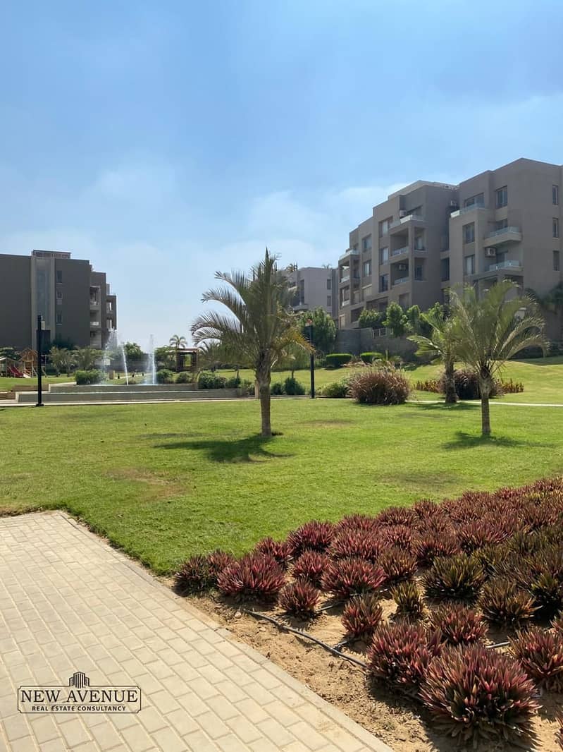 2 7e84a144-a7f4-4911-91f7-273133f24e80. jpg