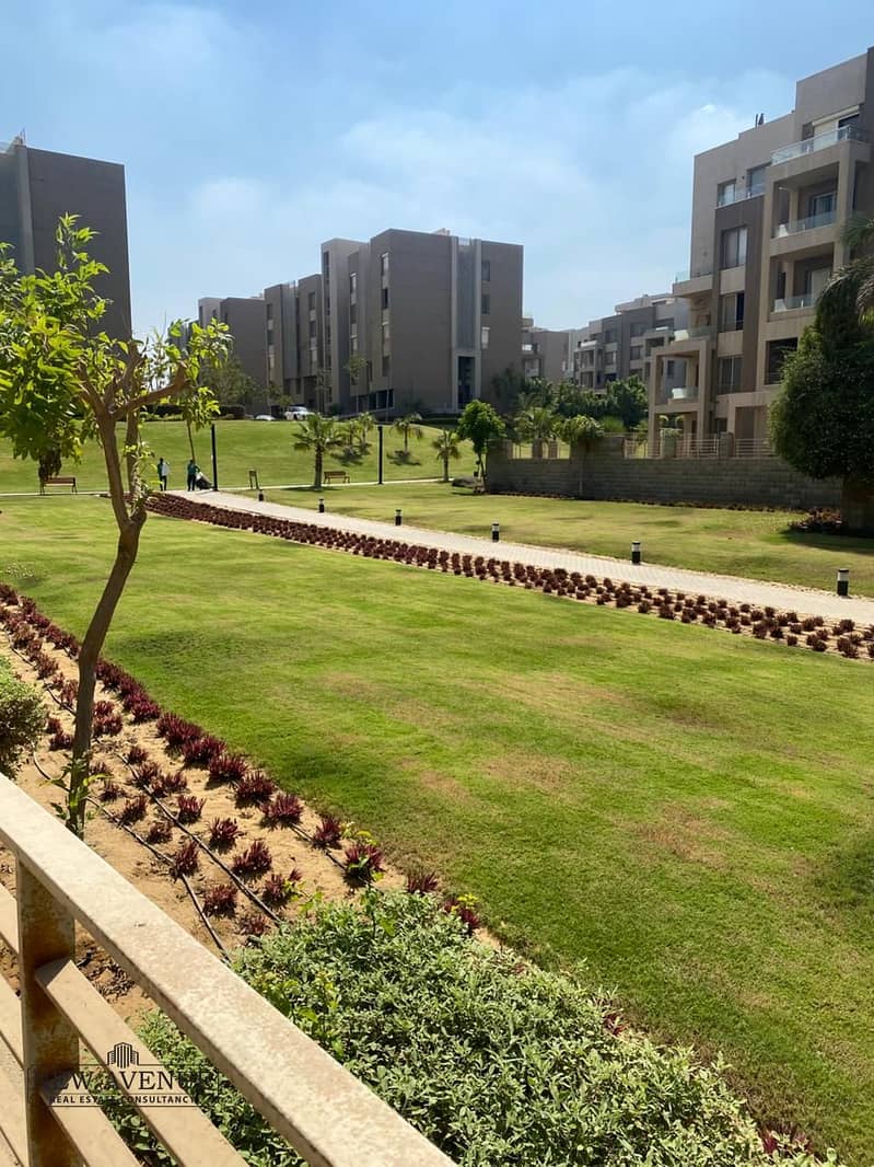 3 59d698de-47ef-464a-98ae-df2d28571612. jpg