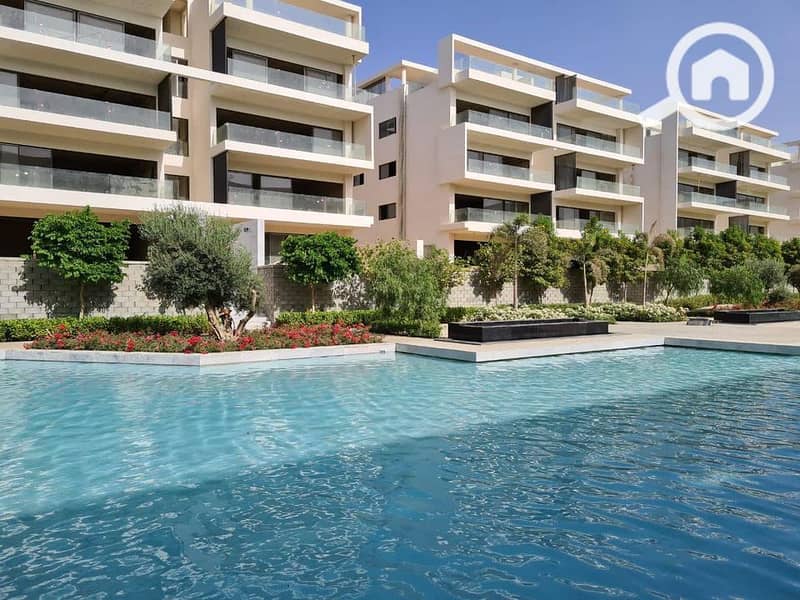 4 264802028_1349537985496561_8321803454375685646_n. jpg