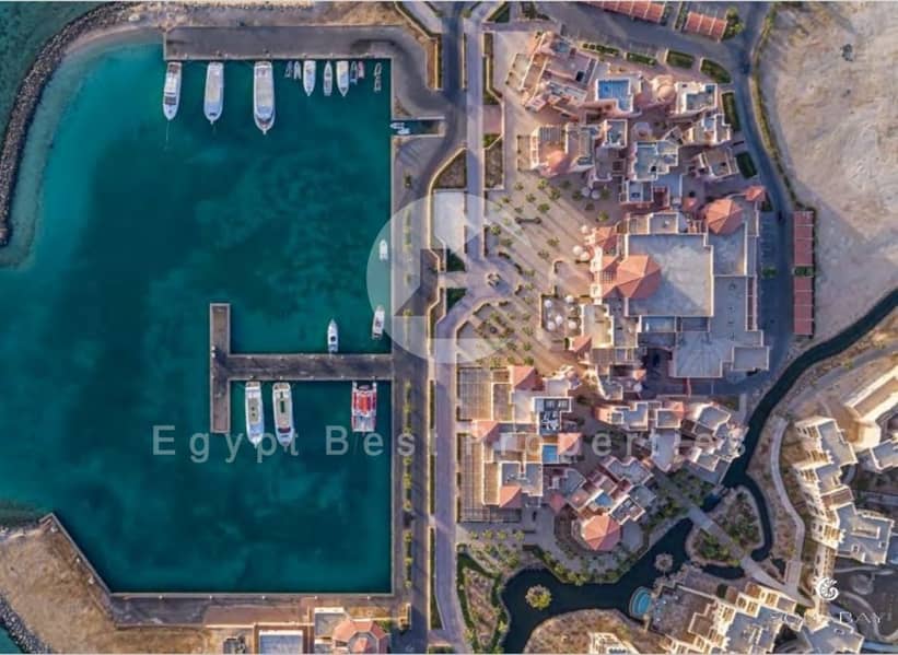 3 Screenshot_27-2-2024_144653_. jpeg