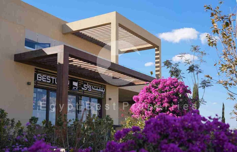 6 DSC07205 (Custom). jpg