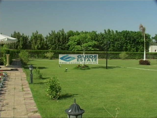 16 0عرابي2. jpg