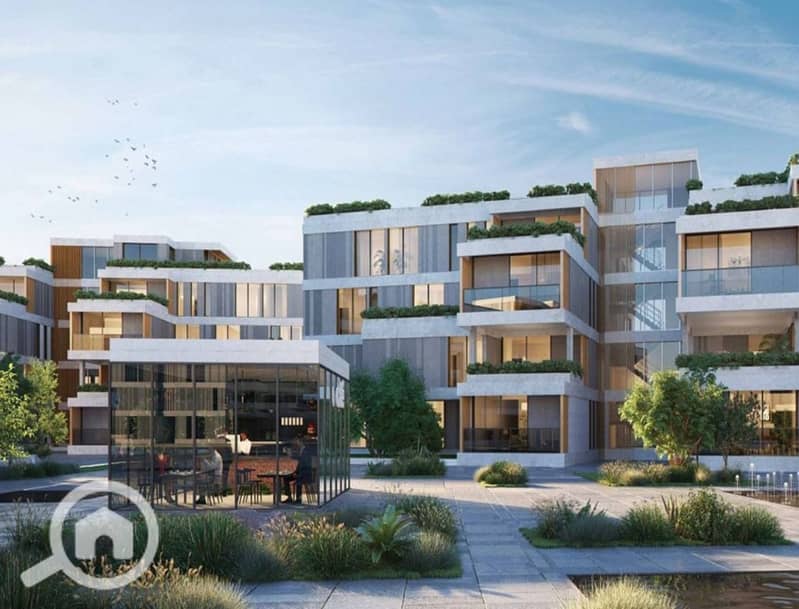 5 sodic-vye-zayed222_8_11zon. jpeg