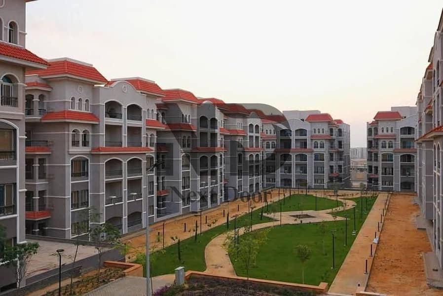 11 495676816_2549023108766428_8125244612332701245_n. jpg