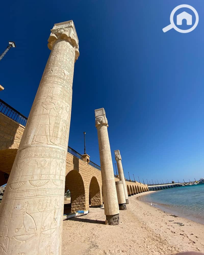 4 118165823_315402949880137_6054588171632811276_n. jpg